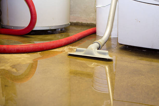 Best Sewage cleanup and water damage restoration  in New Mford, IL