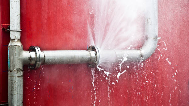 Best Water damage restoration near me  in New Mford, IL